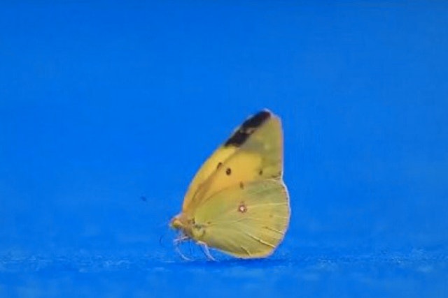 9039b55f-